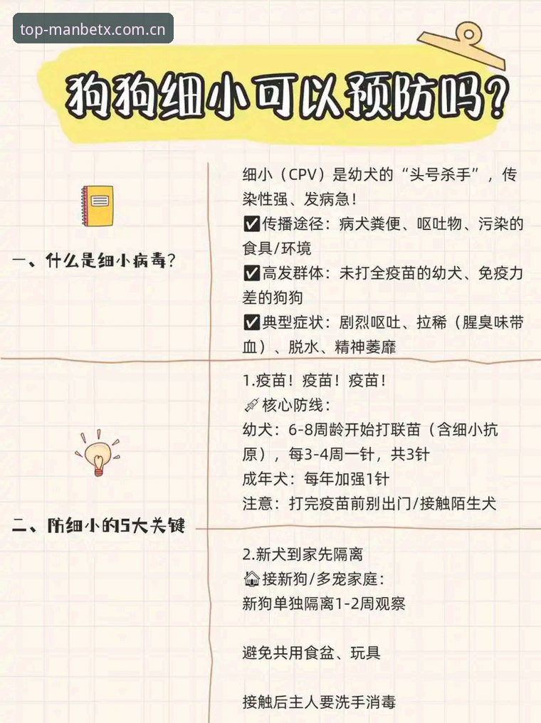 狗万安全可靠吗？一份新手入门的全面指南